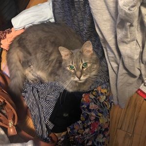 Meet your Posher, Rosemary